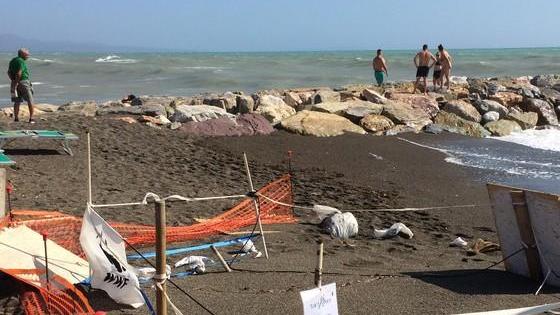 La sabbia protegge il nido delle tartarughe Caretta