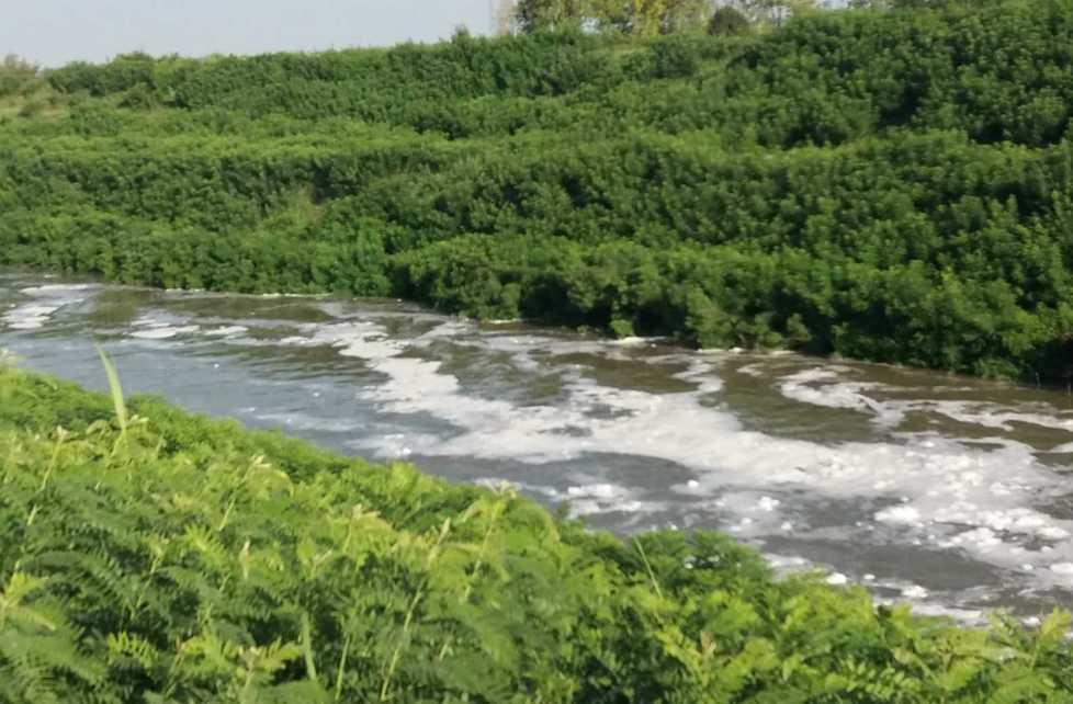 Schiuma bianca nel canale 
