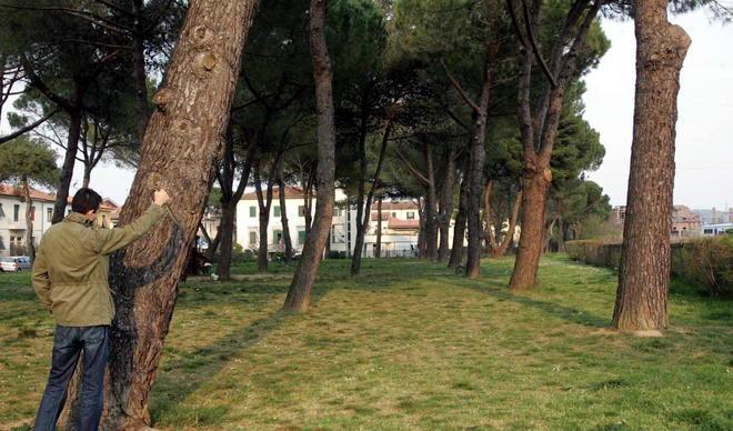 Undici arresti dopo la rissa dietro la lite il caporalato 