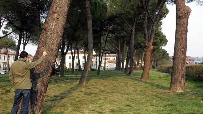Undici arresti dopo la rissa dietro la lite il caporalato