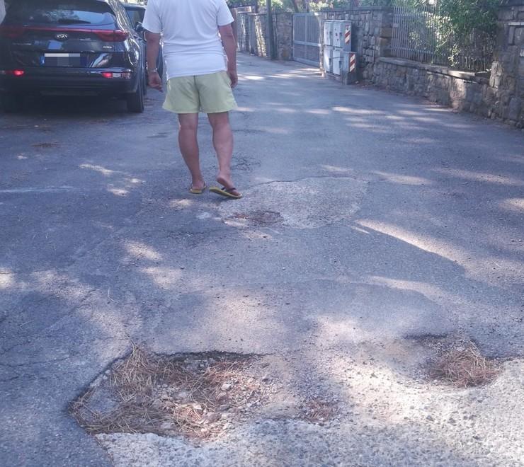 Strade dissestate e alberi secchi Lo sfogo di un residente