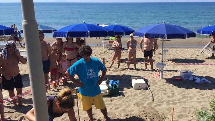 Un nido di tartaruga in mezzo agli ombrelloni