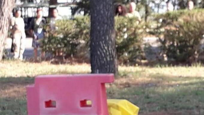 Trovati in un nido e soccorsi Due falconi tornano a volare