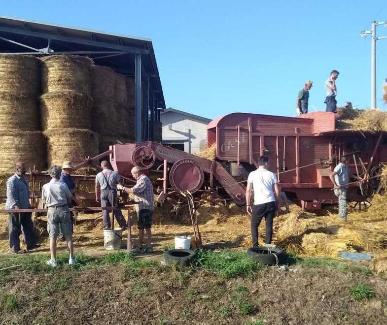 In 420 a tavola dopo la battitura tra tradizione e solidarietà