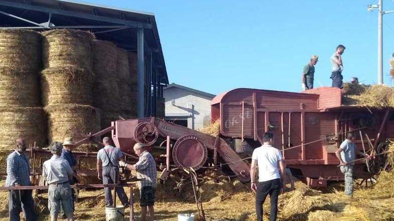 In 420 a tavola dopo la battitura tra tradizione e solidarietà