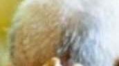Fanno arrestare di nuovo il figlio violento