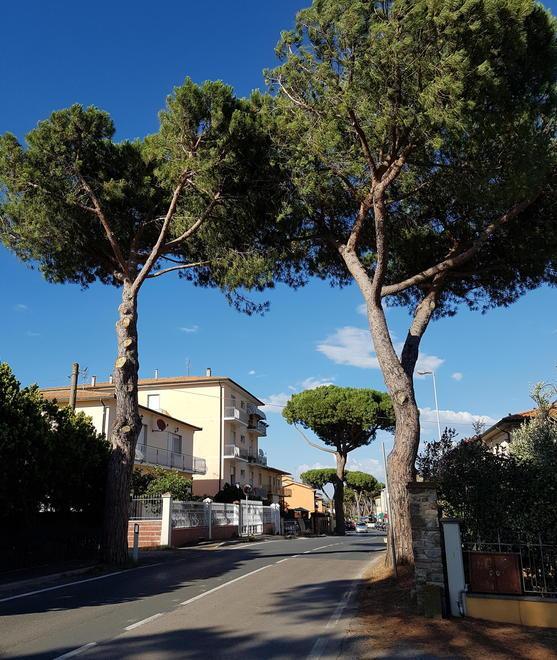Cafaggio in piazza per la Festa paesana