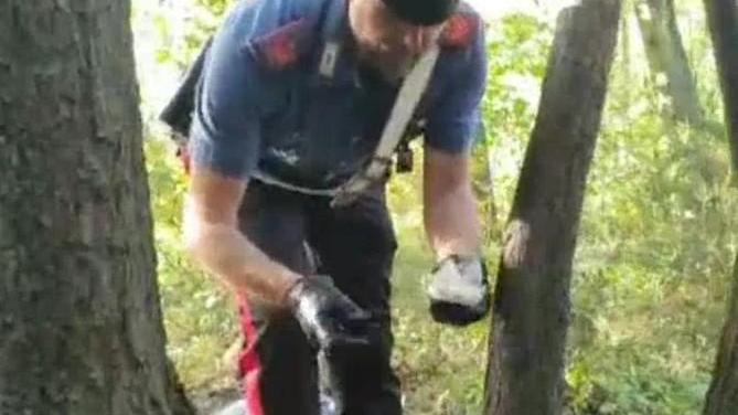 Blitz nel bosco con 30 militari un pusher arrestato, altri in fuga