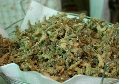 Rane fritte protagoniste nel borgo di Cedogno