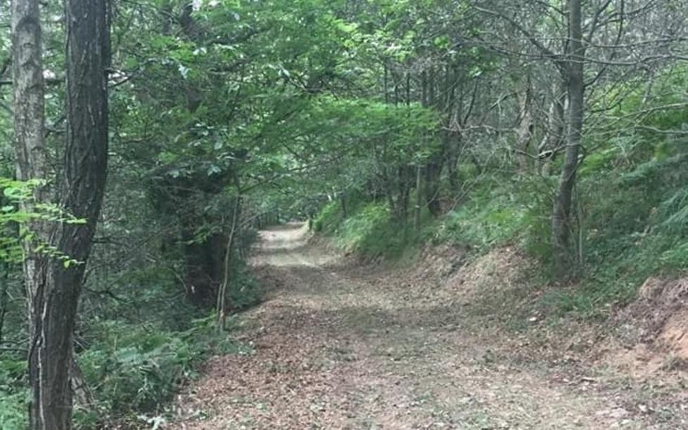 Ripulita la strada forestale