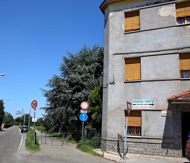 Vignola, punto da centinaia di api: è gravissimo 
