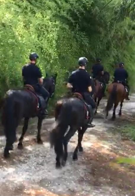Carabinieri a cavallo per presidiare la pineta
