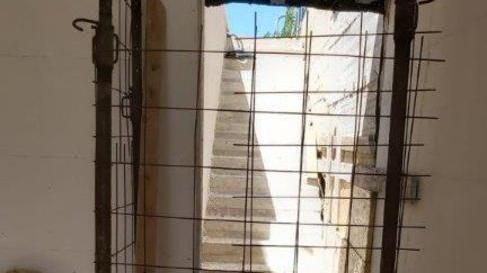 Sfondano il recinto e azzannano un dogo