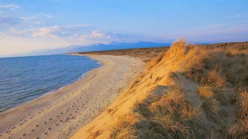 Piano integrato del Parco Le associazioni chiedono un confronto aperto
