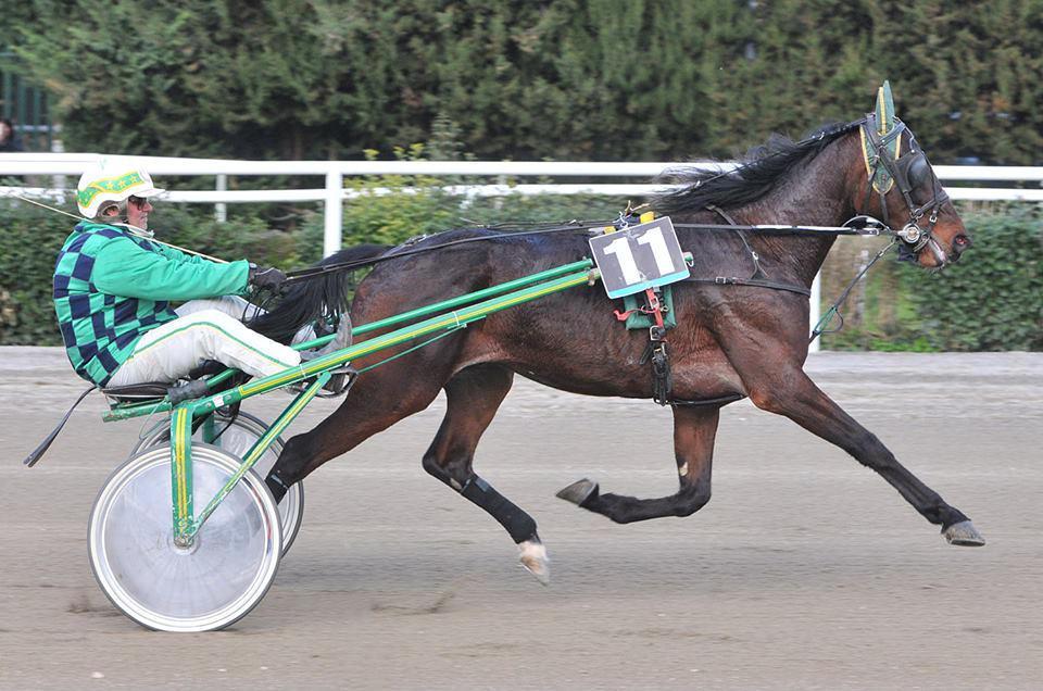 Roberto Biagini in azione al Visarno con Spirit Roby, il suo cavallo preferito.