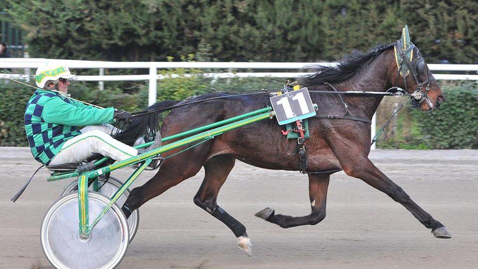 Roberto Biagini in azione al Visarno con Spirit Roby, il suo cavallo preferito.