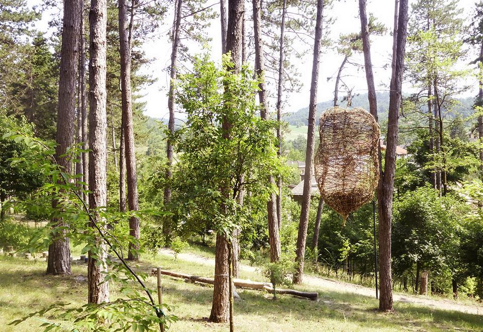 Un viaggio poetico alla ricerca di paesaggi seguendo “foglie”fragili ma resistenti 