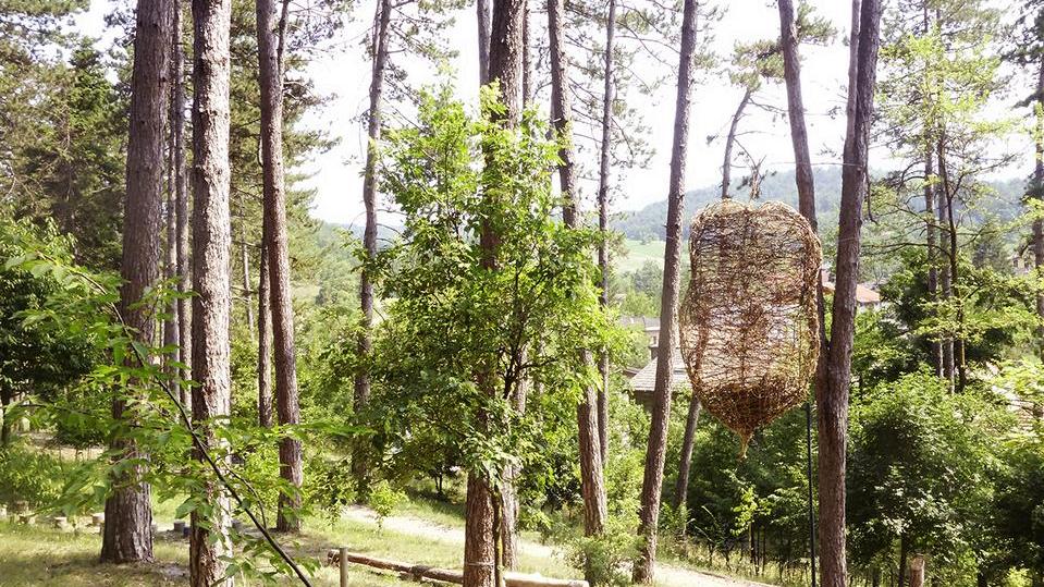 Un viaggio poetico alla ricerca di paesaggi seguendo “foglie”fragili ma resistenti