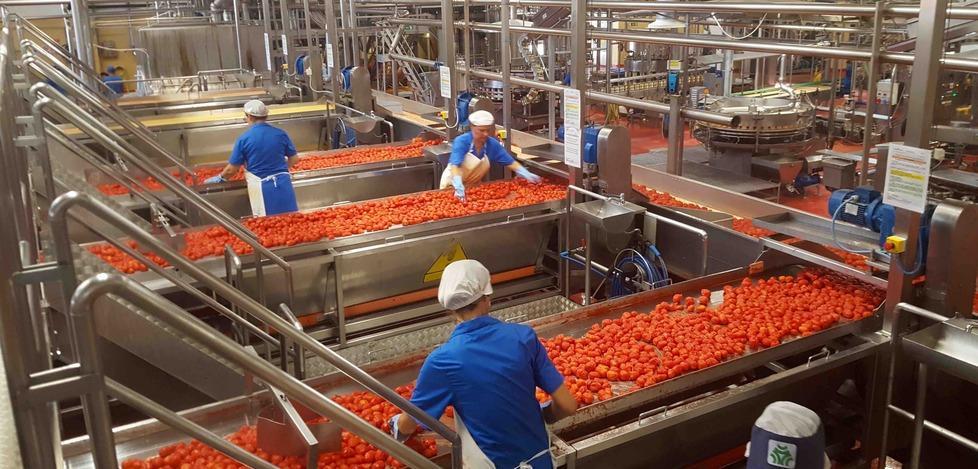 Conserve Italia scommette sul Pomodorissimo 