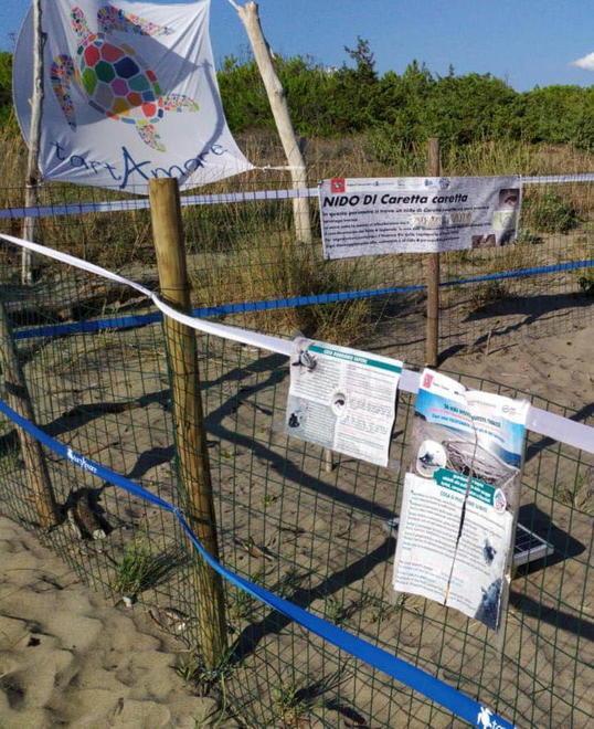 Uova da studiare e proteggere anche grazie ai radioamatori 