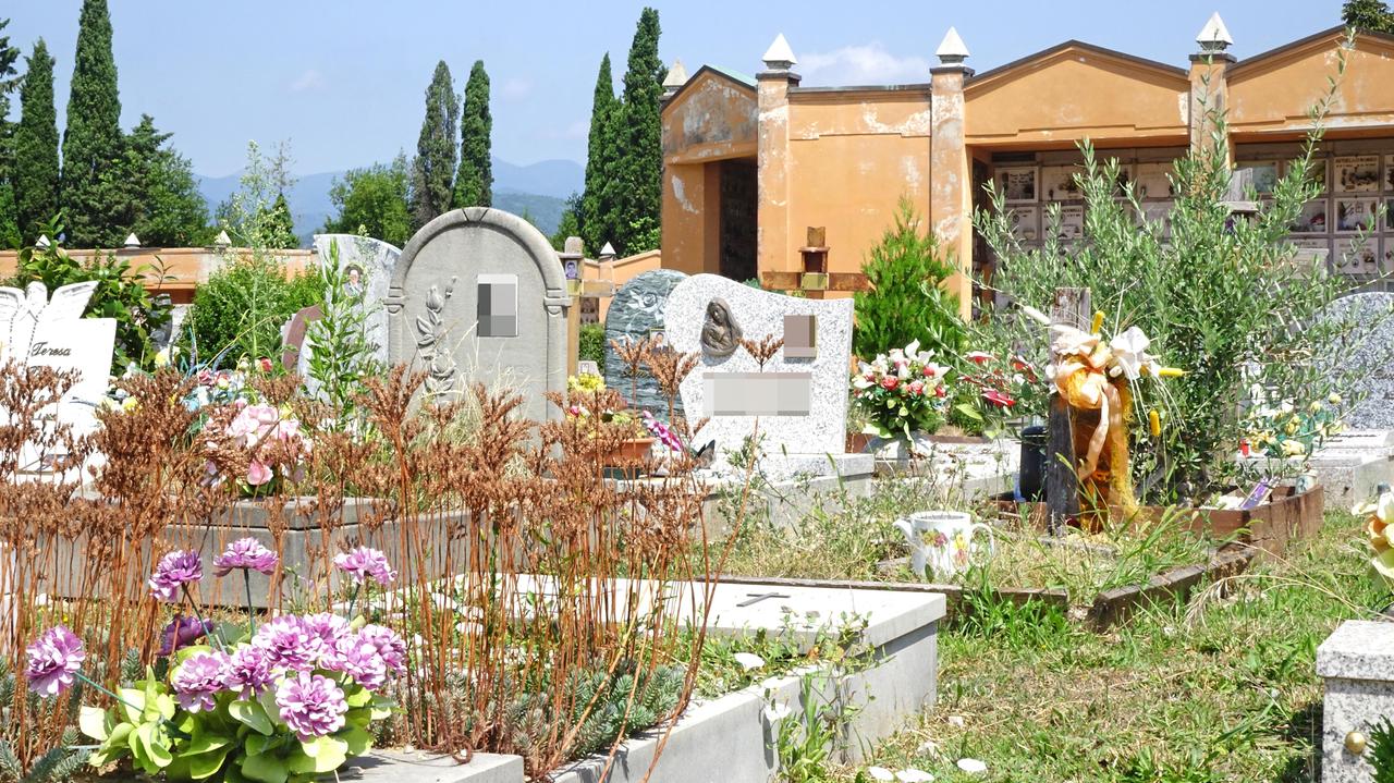 L’incuria regna nei cimiteri comunali e il taglio dell’erba non è sufficiente
