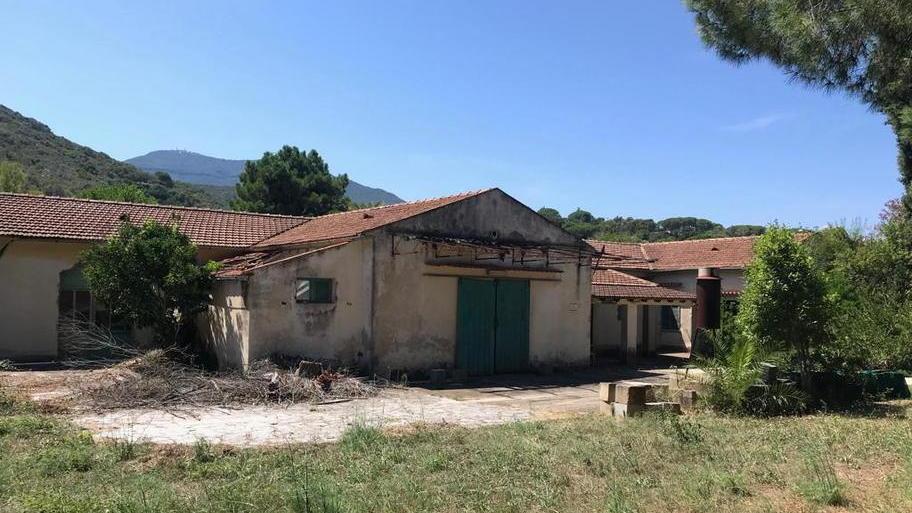 Una petizione per salvare l’antica cantina di Procchio