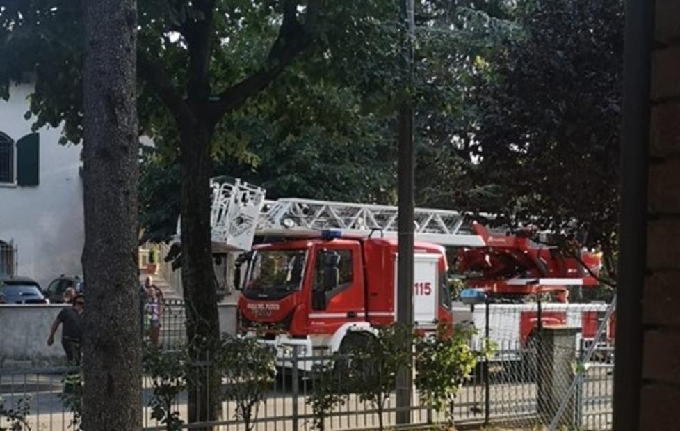 Soccorso dai pompieri un gatto intrappolato sull’albero per 4 giorni