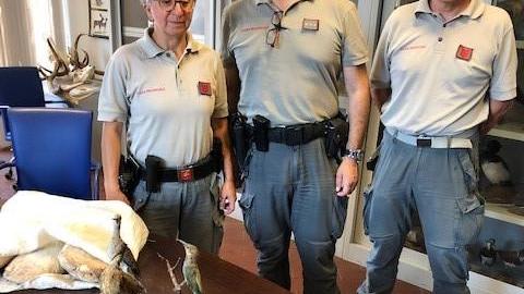 Operazione antibracconaggio della Polizia provinciale di Prato