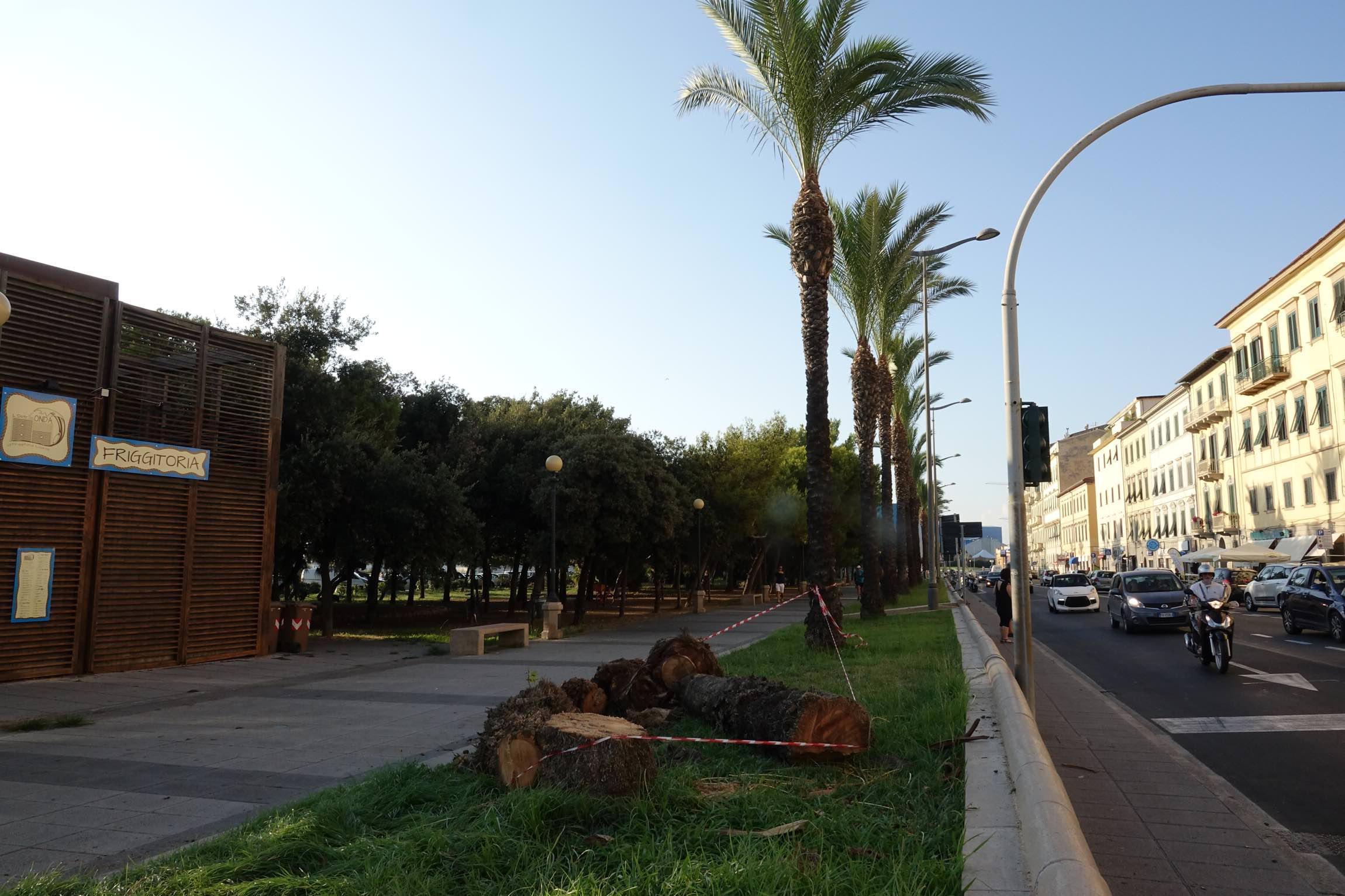 La situazione sul viale Italia (foto Pentafoto)