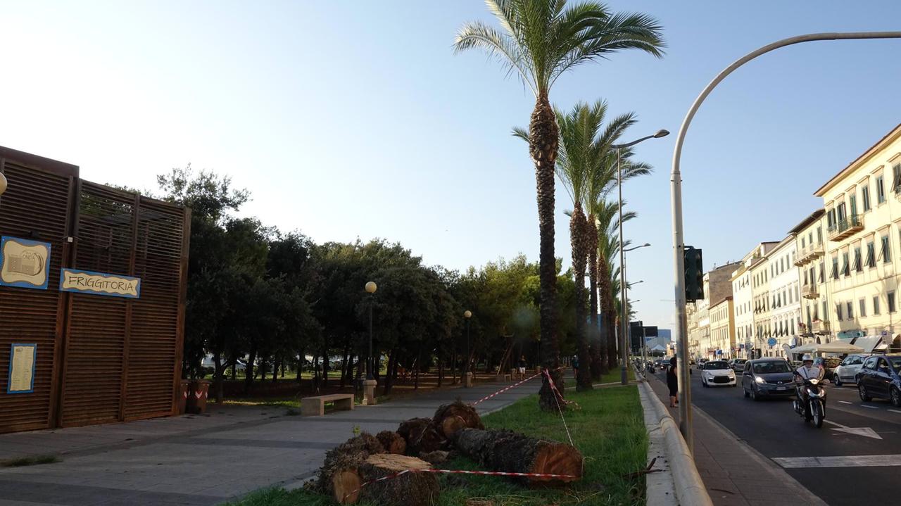 La situazione sul viale Italia (foto Pentafoto)