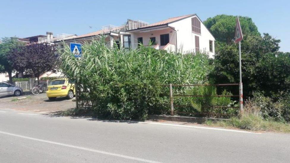 Strada pericolosa e degradata «Qui una discarica abusiva»