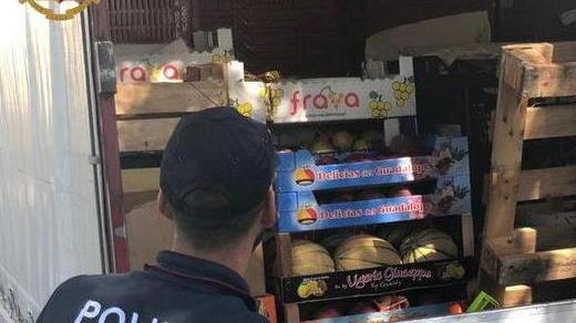 Trasportava frutta senza patente di guida Denunciato e multato