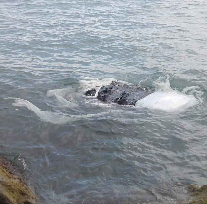 Piano di recupero delle 63 tonnellate di plastica in mare. Il Comune nella task force