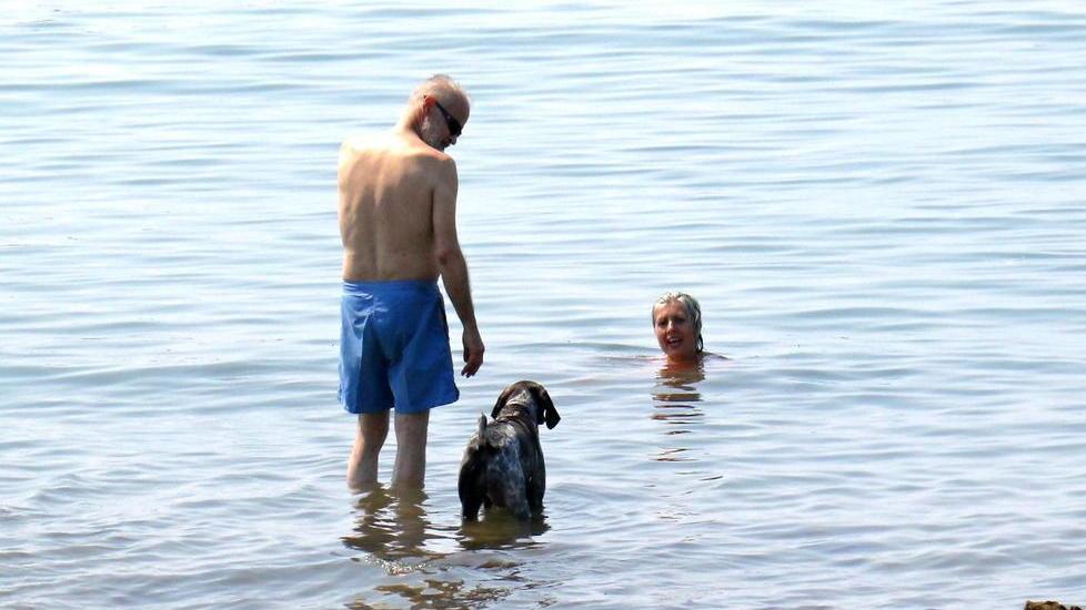 Anche i cani benvenuti nella spiaggia riaperta di “Sotto Bernardini”
