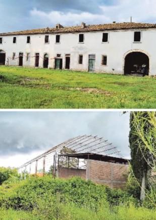 Nasce a Fauglia un comitato contro Livornello: «No agli amaranto» 