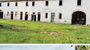 Nasce a Fauglia un comitato contro Livornello: «No agli amaranto»