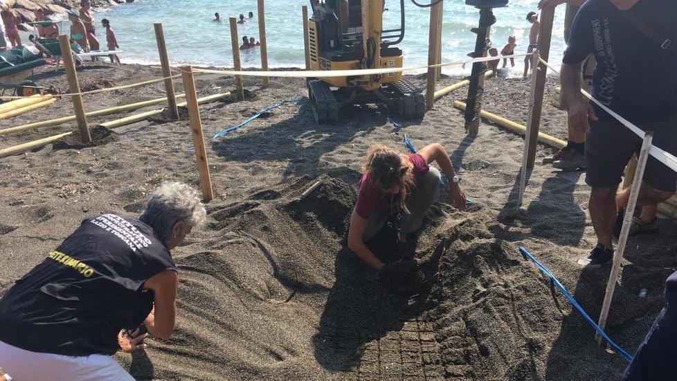 Nido delle tartarughe, pronto il corridoio a mare per aiutare i nascituri