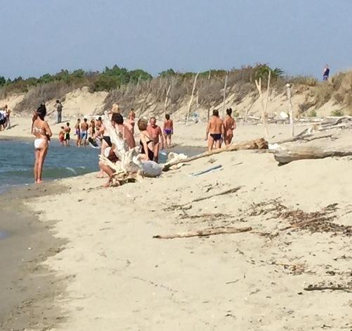 Spiaggia, escursioni e feste dentro il parco di San Rossore 