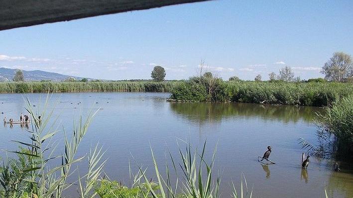 Una visita serale straordinaria alla scoperta del fascino del Padule