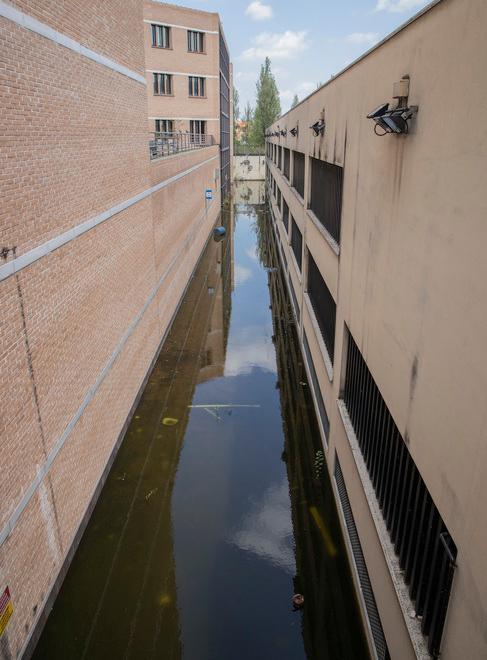 “Un obbligo per i locali fare i trattamenti contro le zanzare”