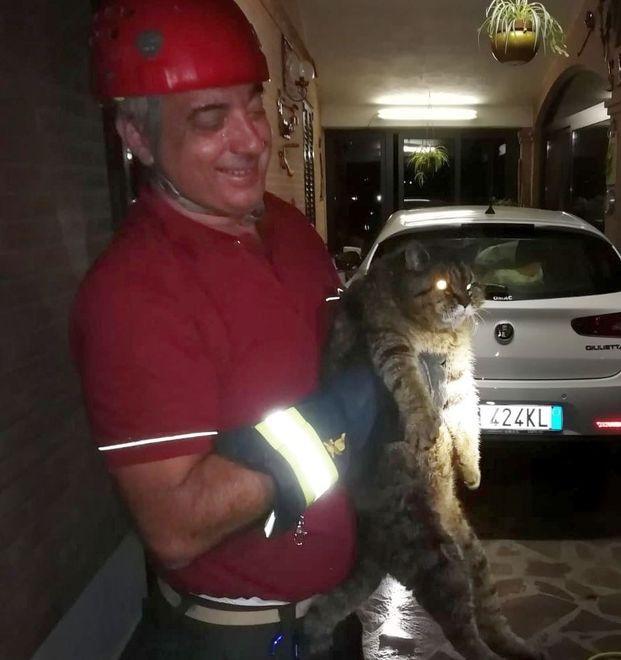 Micio incastrato liberato dai pompieri