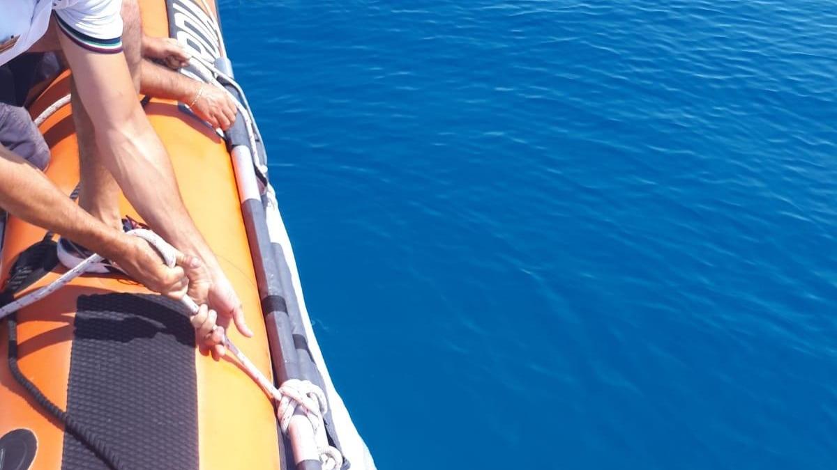Allarme per una morìa di cefali, ma era stato un pescatore