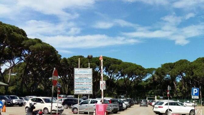 In alto il parcheggio in Pineta Marradi a Castiglioncello