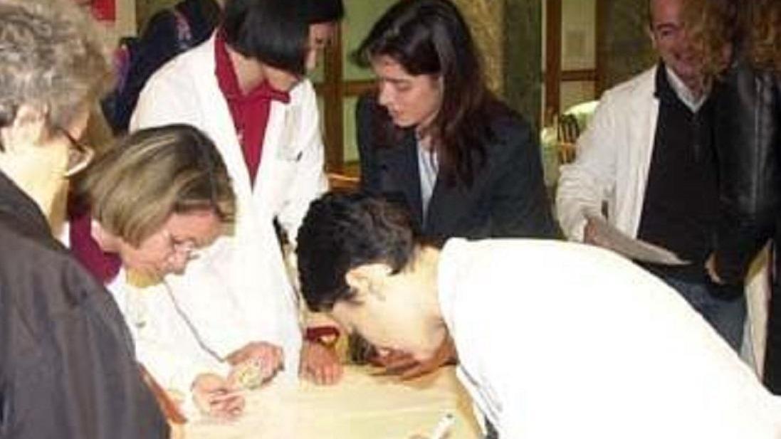 Modena, la Cassazione: «Specializzandi: è solo formazione Non c’è stipendio»