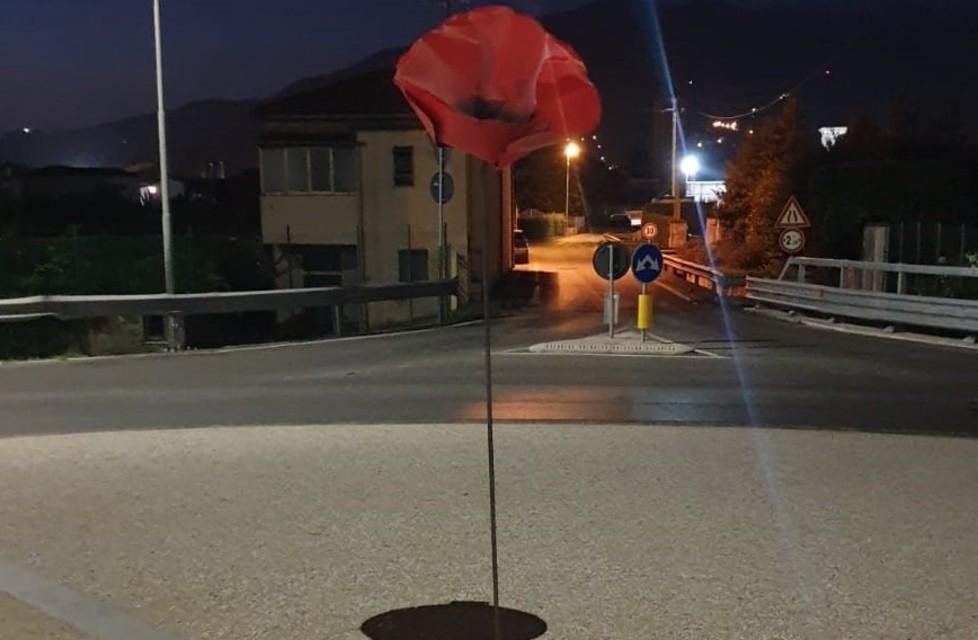 Sboccia un fiore alla rotonda
