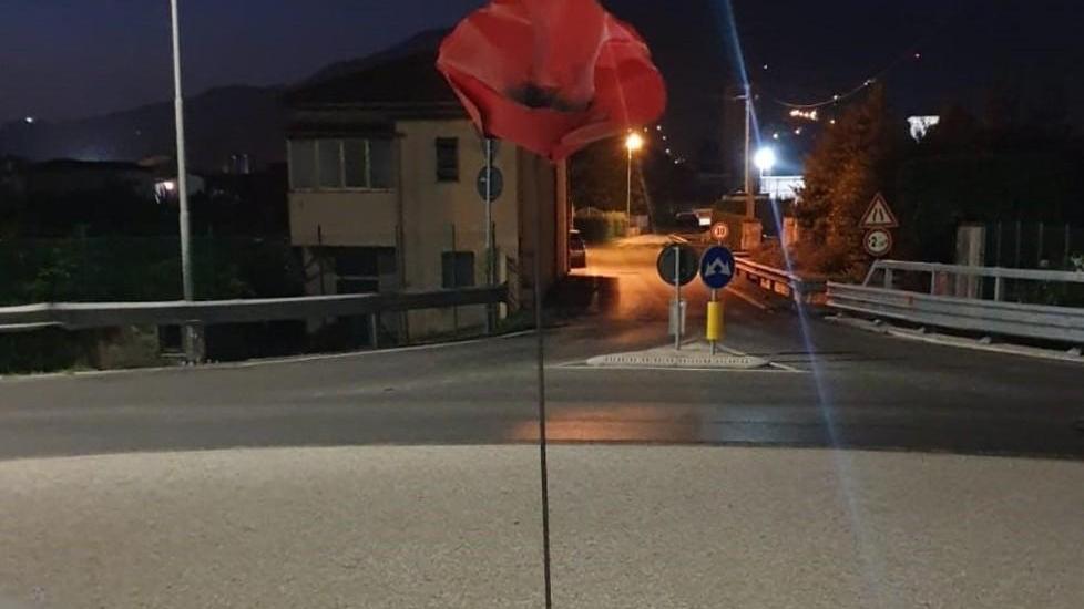 Sboccia un fiore alla rotonda