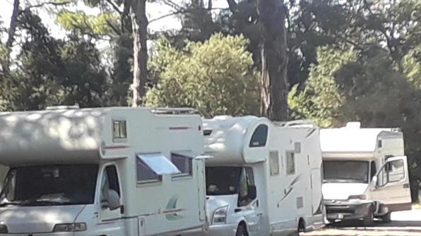 Sos per il campeggio abusivo in un’area verde di Calambrone
