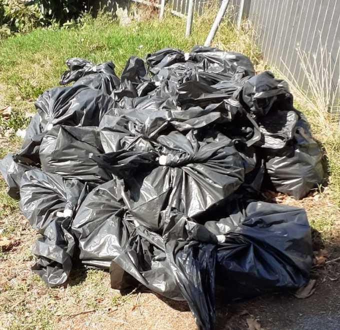 Via le carcasse dei pesci morti dopo le forti piogge ad Arezzo 