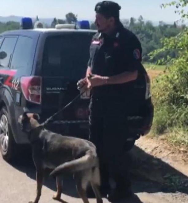 Il fiuto di Kevin non tradisce Scovato mezzo chilo di “erba” 