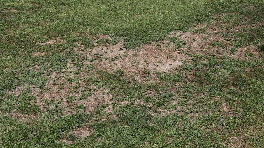 Parla il gestore del Mirabello «Il Comune deve dire che progetti ha»